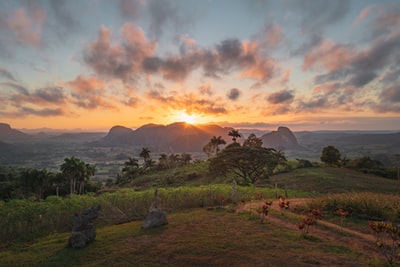 绿色的草地附近山白天
